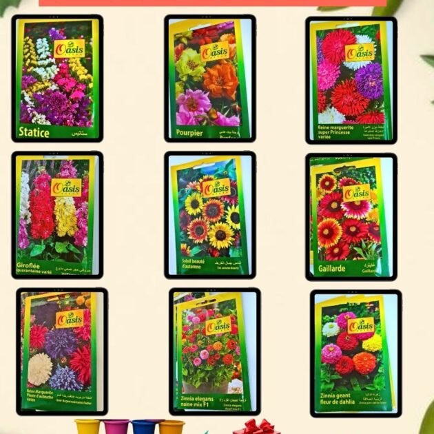 تشكيلة 05 أنواع  بذور الازهار الأمريكية